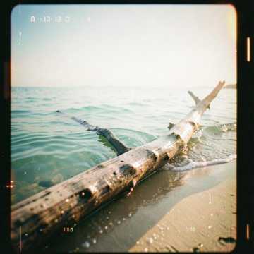 Bossa da Praia bossa nova, brazilian, nylon guitar, relaxed