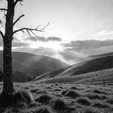 Nature Documentary Dawn nature documentary, orchestral, wonder