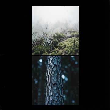 Deep Focus Ambient (alt take) ambient, meditation, calm, pads